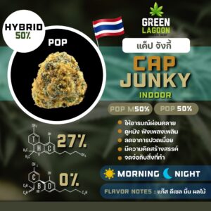 Cap junky