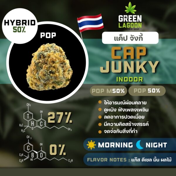 S__7462916_0 Cap junky