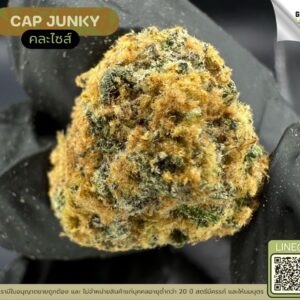 Cap junky