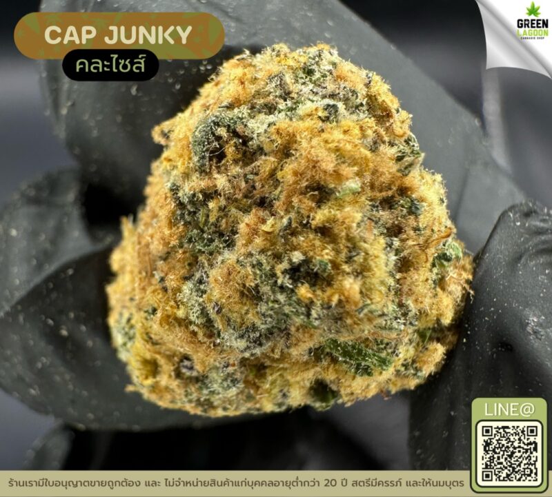 Cap junky