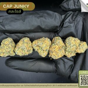 Cap junky