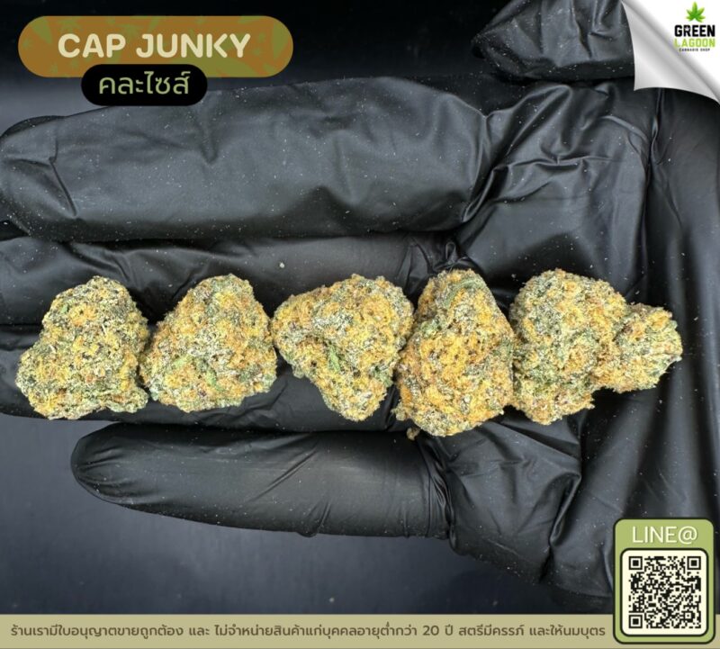 Cap junky