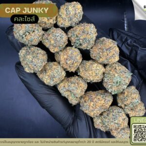 Cap junky