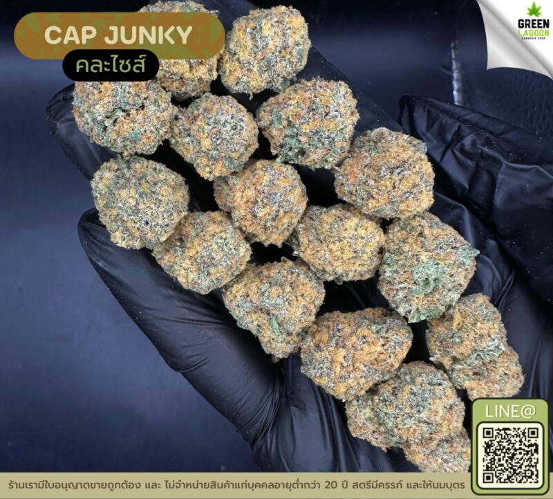 Cap junky