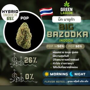 Big bazooka