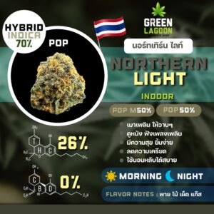 Northern light