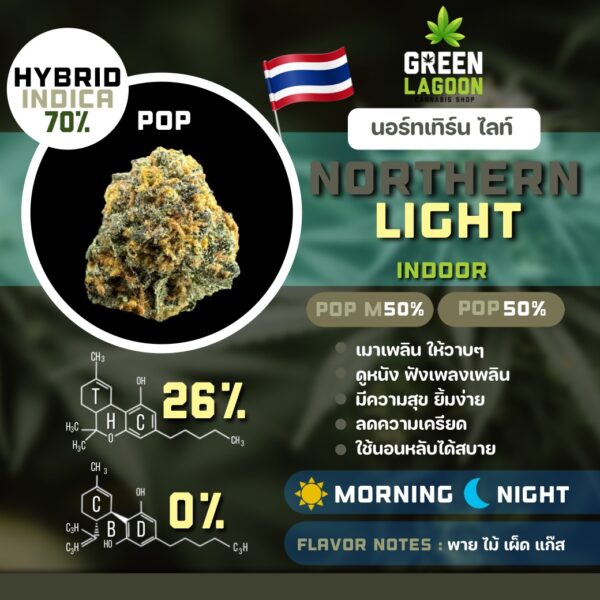 S__7462927_0 Northern light