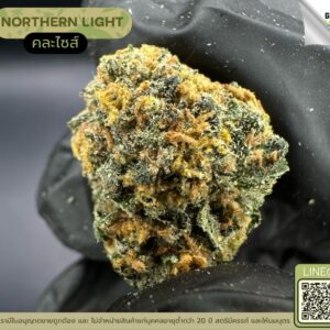 Northern light