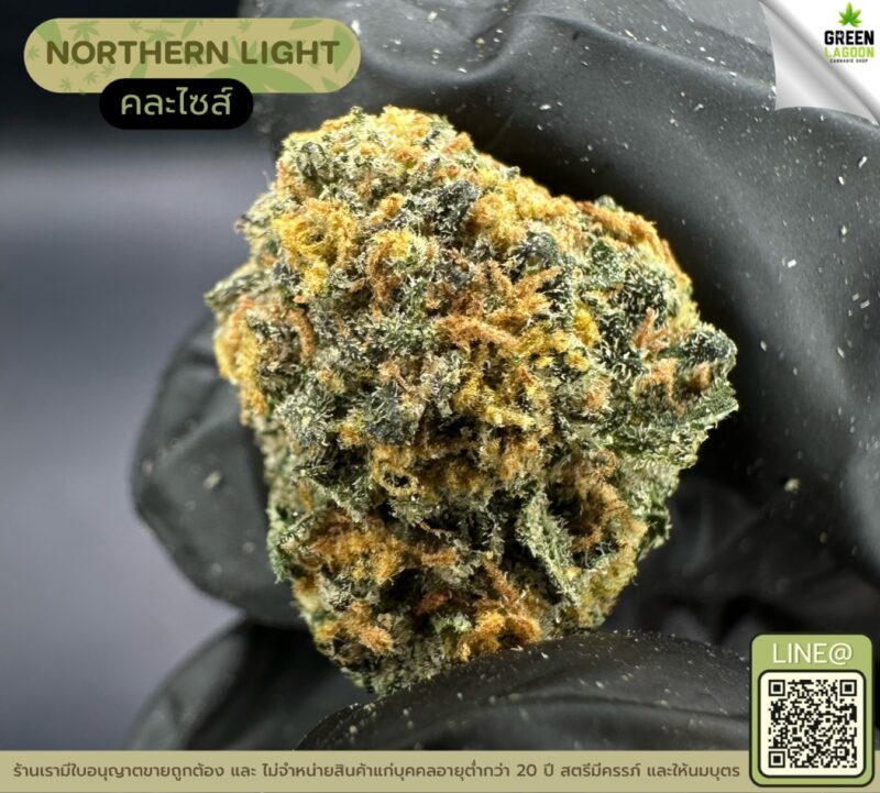 Northern light