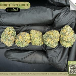 Northern light