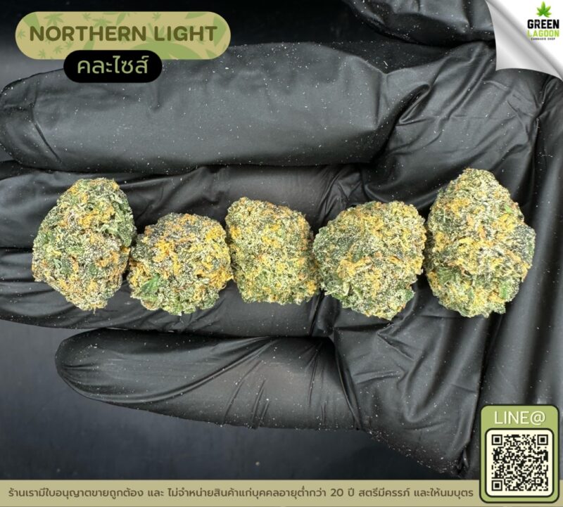Northern light