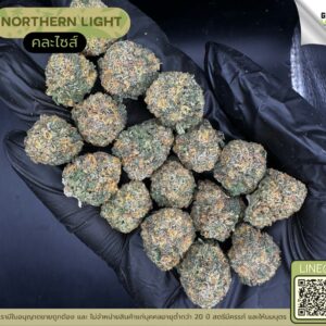 Northern light