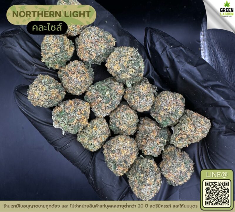 Northern light