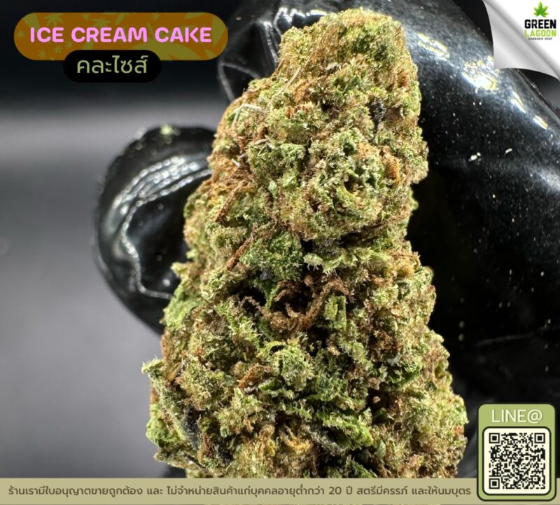 Ice cream cake
