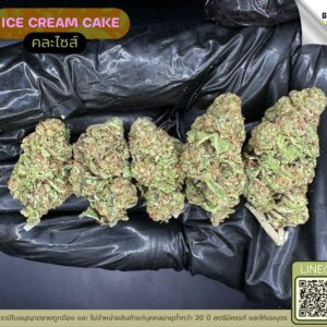 Ice cream cake