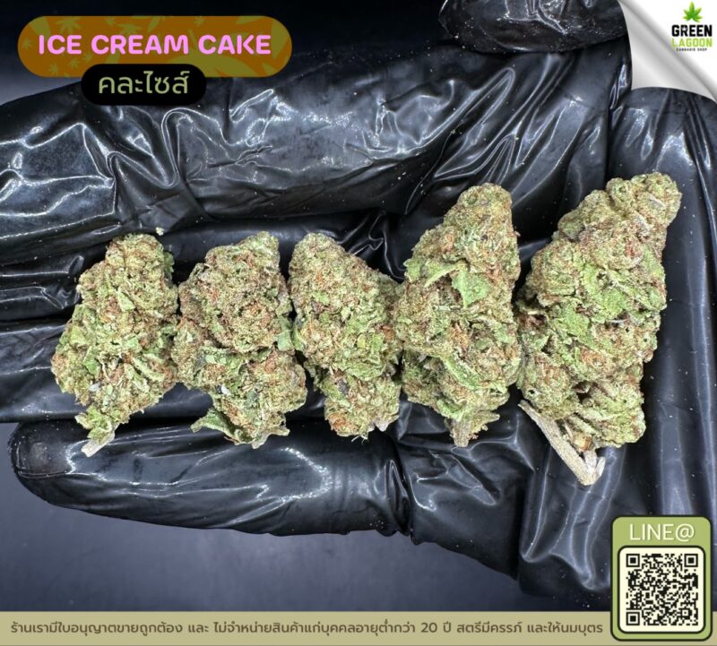 Ice cream cake