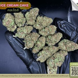 Ice cream cake