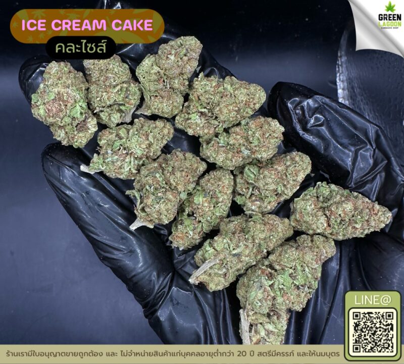 Ice cream cake