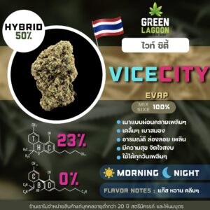 Vice city