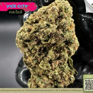 Vice city