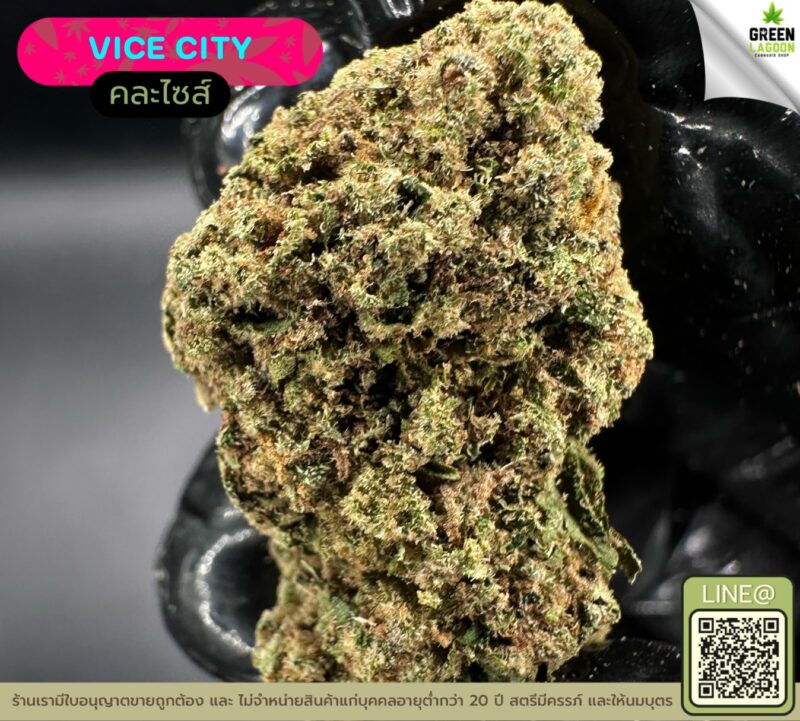 Vice city