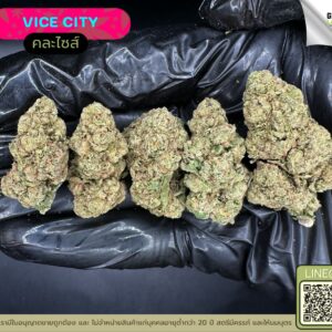 Vice city