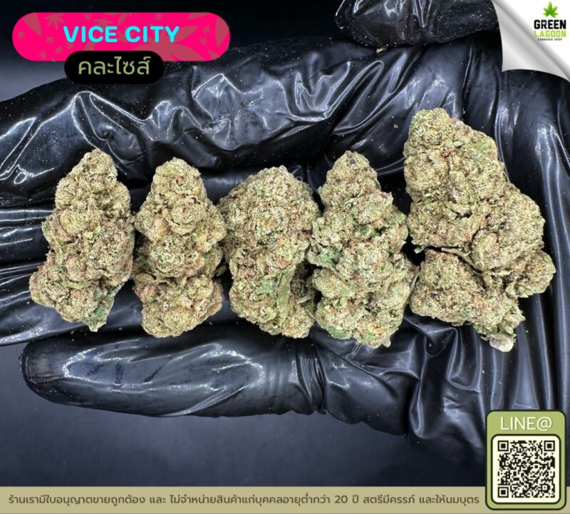 Vice city