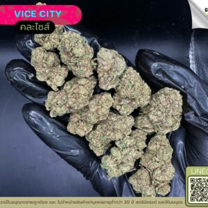 Vice city