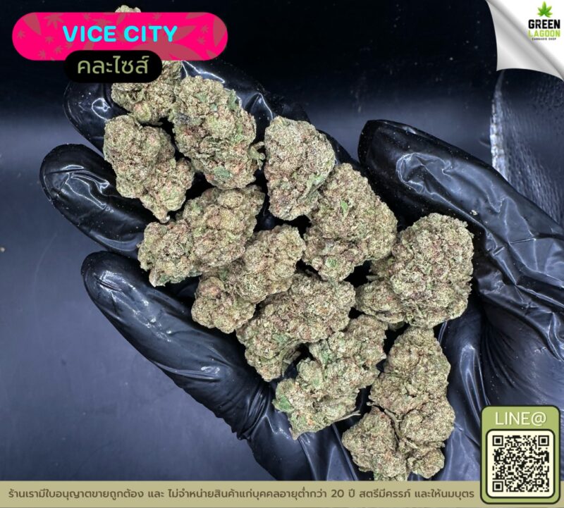 Vice city