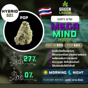 Mega mind