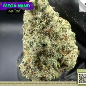 Mega mind