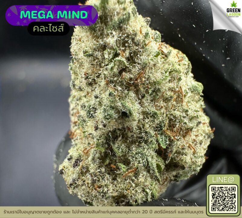 Mega mind
