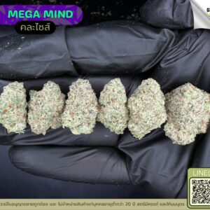 Mega mind