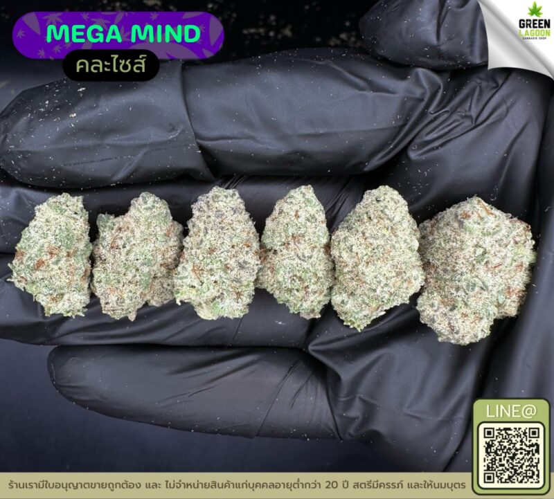 Mega mind