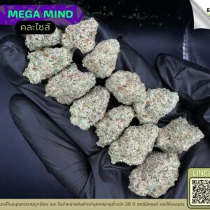 Mega mind