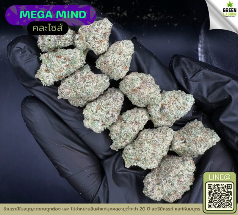 Mega mind