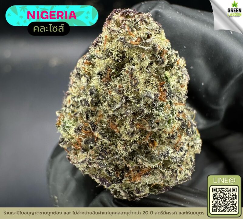 Nigeria