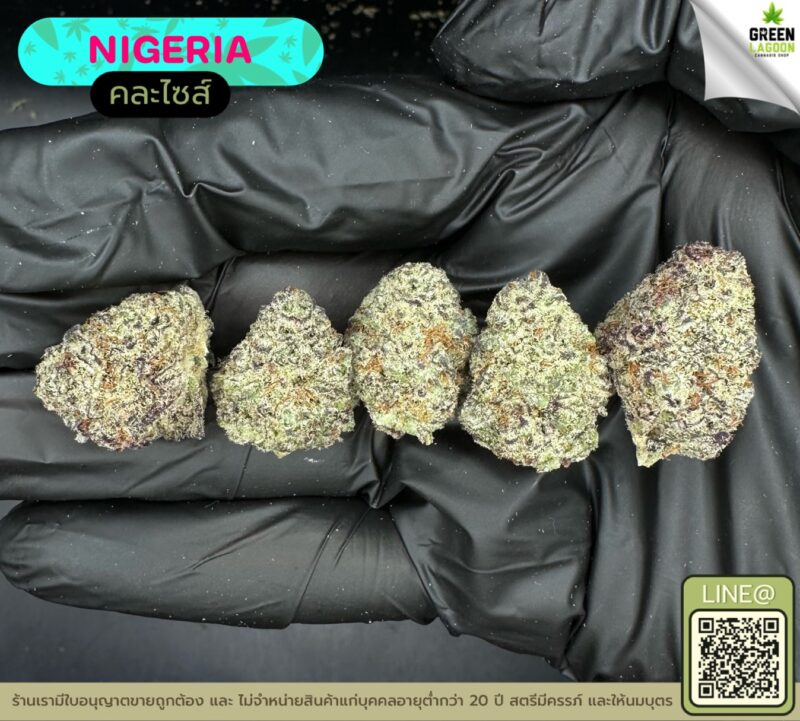 Nigeria
