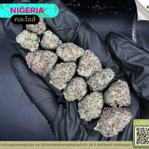 Nigeria