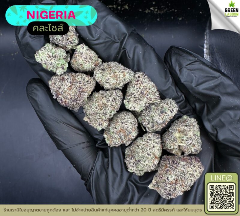 Nigeria