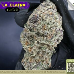 LA.ULTRA