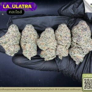 LA.ULTRA