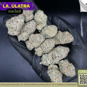 LA.ULTRA