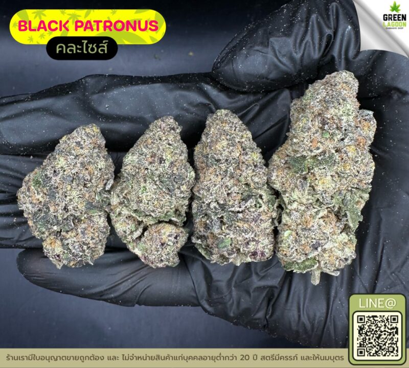 Black patronus