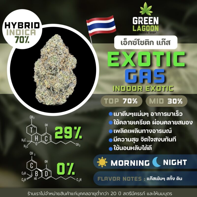 Exotic gas