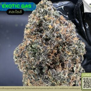 Exotic gas