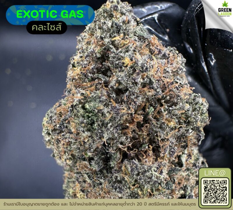 Exotic gas