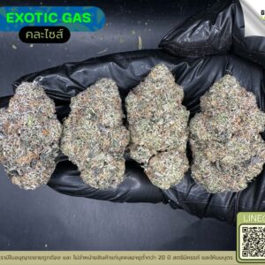 Exotic gas