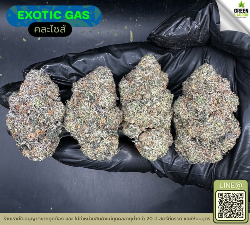 Exotic gas