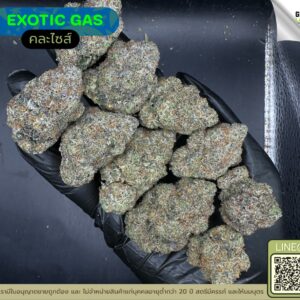 Exotic gas